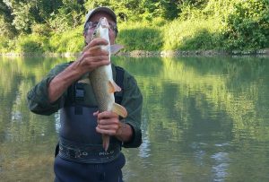 Pesca alla passata nel fiume Tevere
