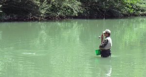 Pesca alla passata nel fiume Tevere