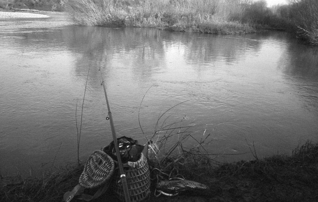 Canna in pesca con le budellina pesca con le budellina